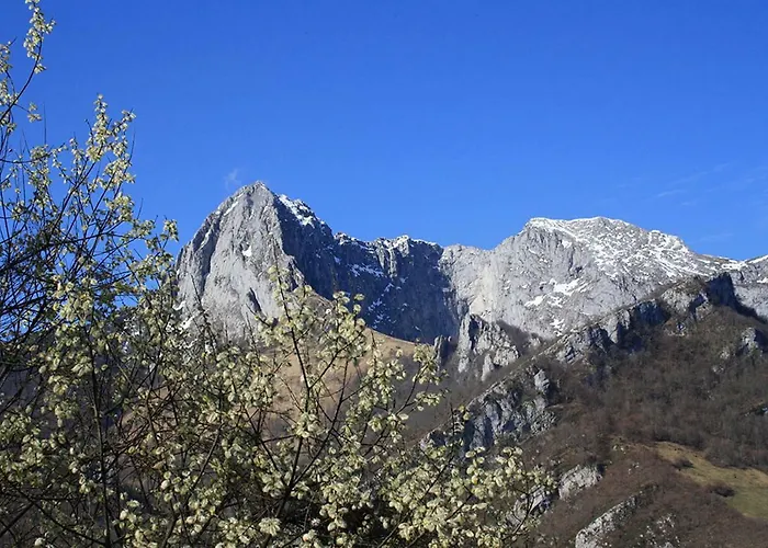 Hotel Rural Llerau Ponga