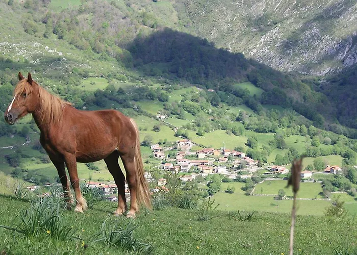 Rural Llerau 3* Ponga