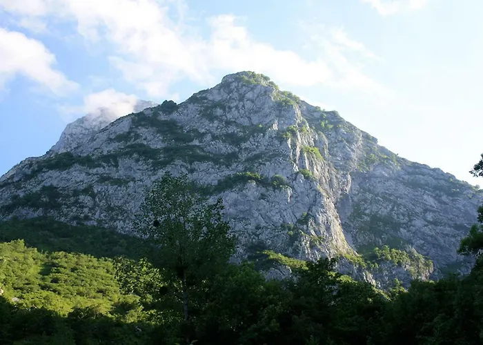 Rural Llerau 3* Ponga